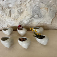 Vintage Snail Shell Pots