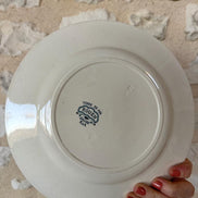 Terre de Fer Dinner Plates