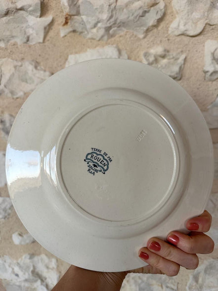 Terre de Fer Dinner Plates