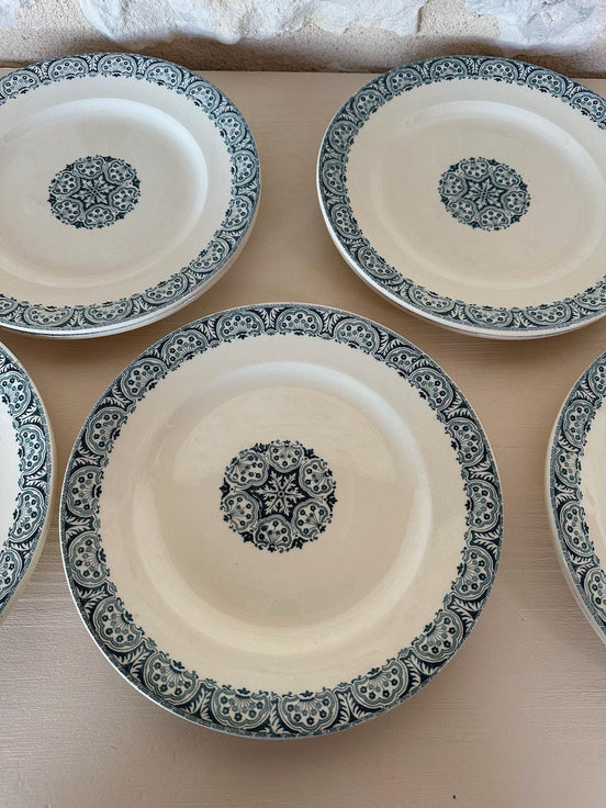 Terre de Fer Dinner Plates
