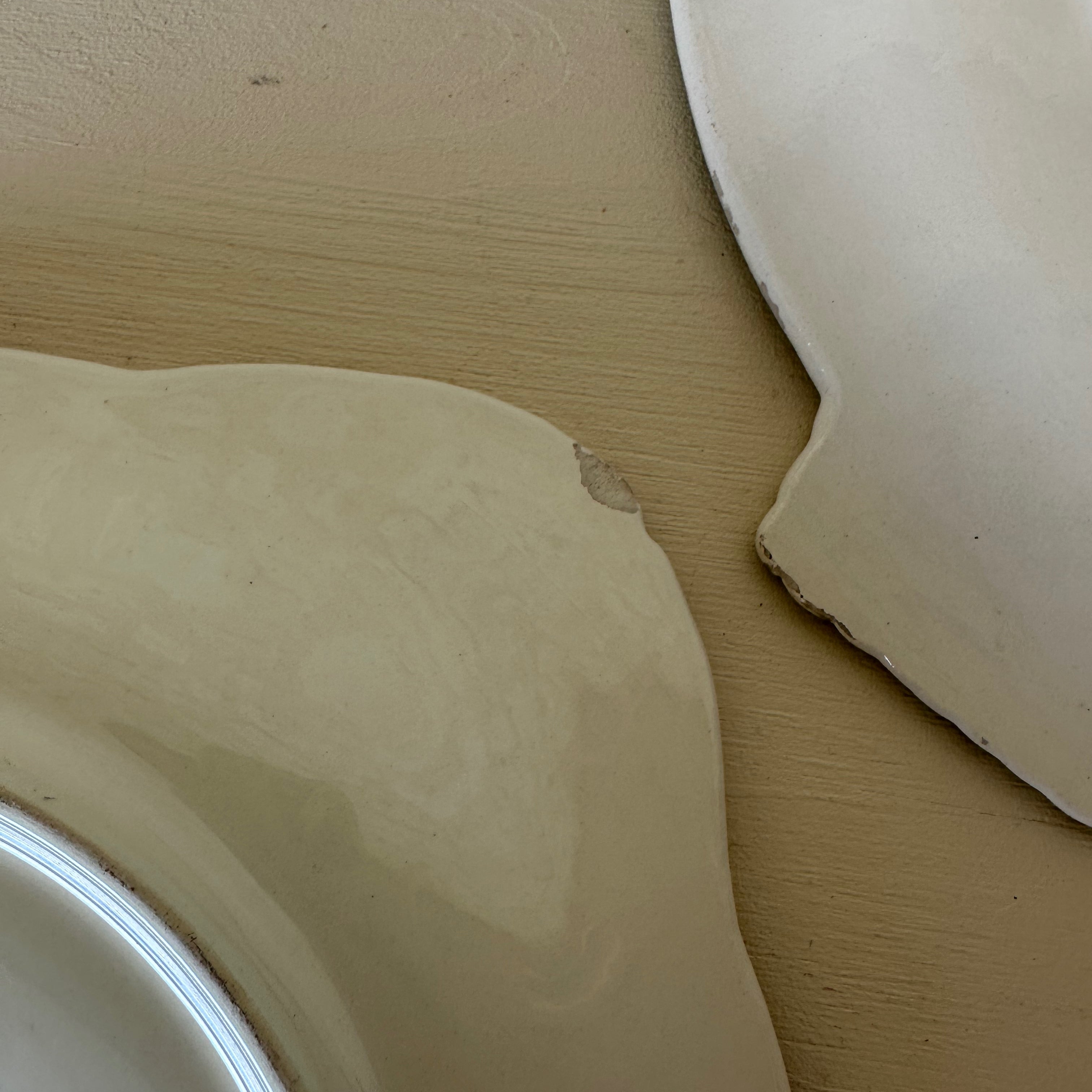 Set of Four Oyster Plates by Longwy France
