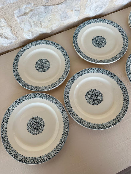 Terre de Fer Dinner Plates